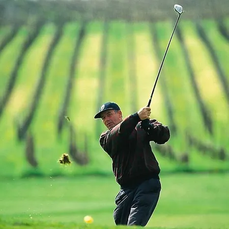 Deidesheimer Hof Deidesheim