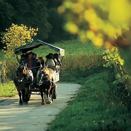 Deidesheimer Hof Hotel 5*