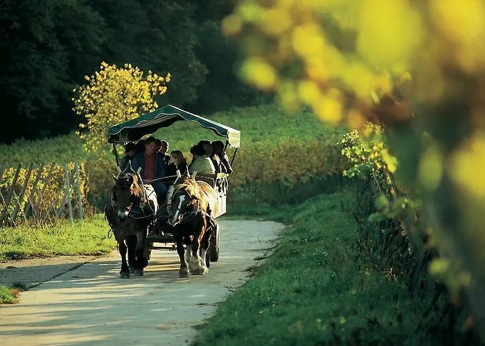 Deidesheimer Hof מלון 5*